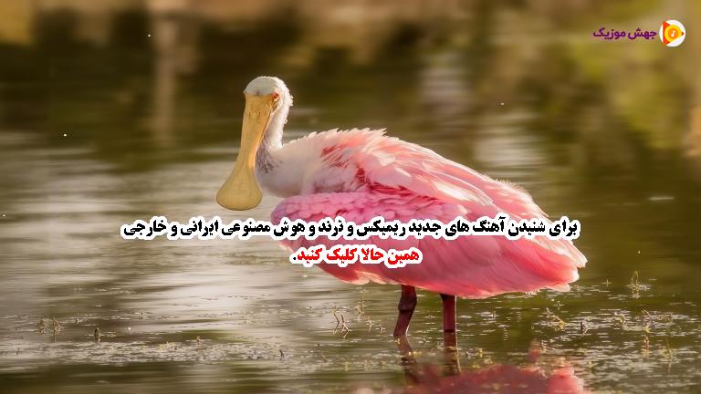 دانلود آهنگ هیشکی تو دنیا نمیدونه شاید از